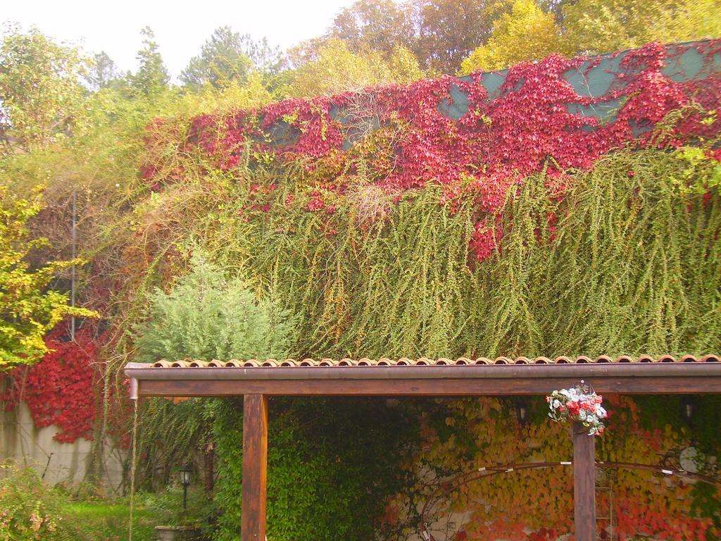 B&B Margherita Le Fiabe SantʼAgata Feltria Exteriör bild