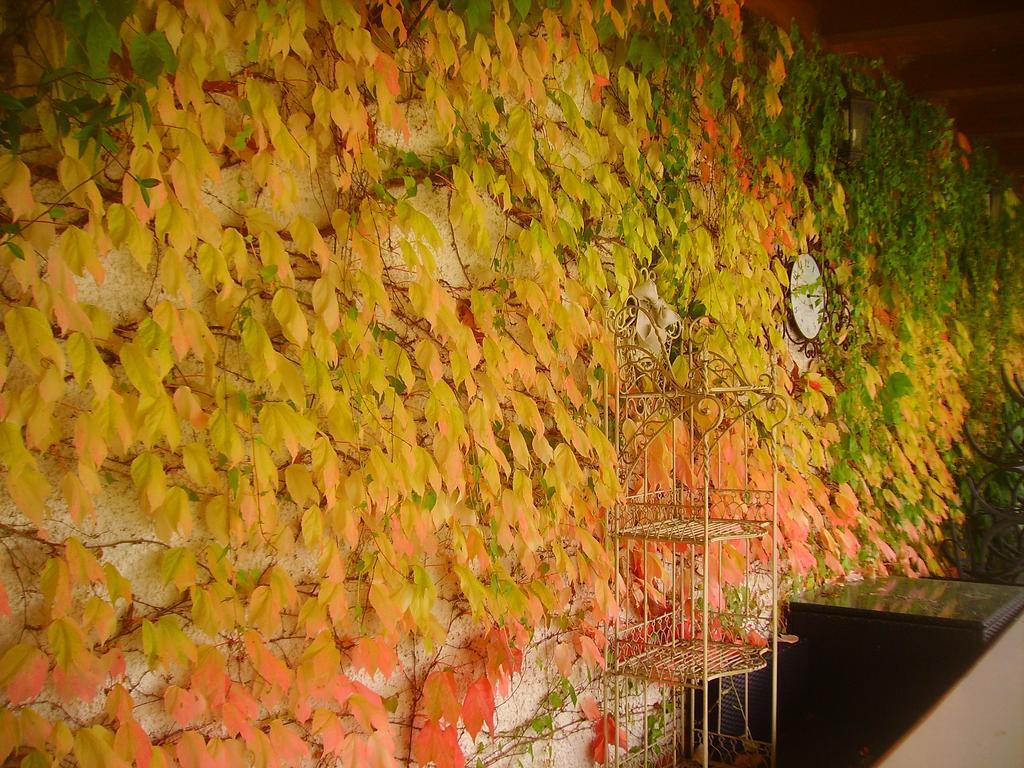 B&B Margherita Le Fiabe SantʼAgata Feltria Exteriör bild