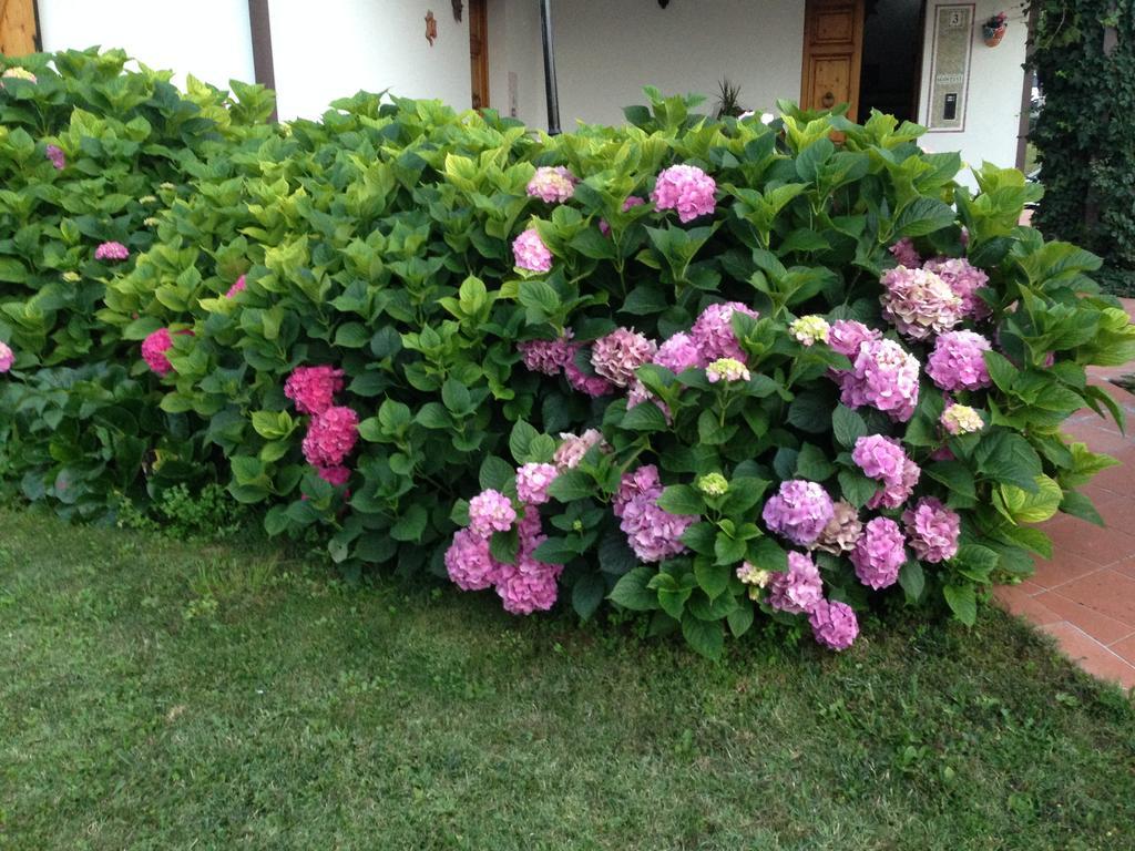 B&B Margherita Le Fiabe SantʼAgata Feltria Exteriör bild